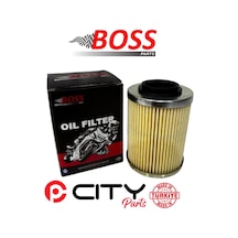 Aprillia Etv Capanord 1000 2001-2007 Yağ Filtresi Boss Ct2272