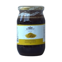 Pollinata Nutriplus Bitkisel Karışımlı Macun 420 Gr