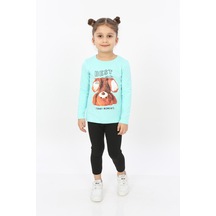 Mint Yeşili