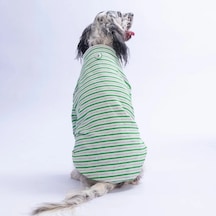 Pawstar 26767 Yeşil Marseille Softline Büyük Irk Sweat-21656