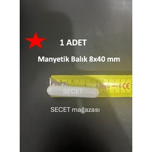 Manyetik Balık 8x40 Mm - Boy:40 Mm - Çap:8 Mm - 1 Adet