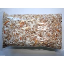 Istiridye Mantar Tohumu 6 Kg