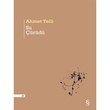 Su Çürüdü - Ahmet Telli - Everest Yayınları