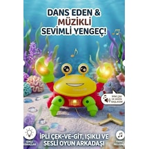 Dans Eden Müzikli Sevimli Yengeç Çocuğunuzun Yeni Oyun Arkadaşı