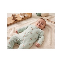 Mint Yeşili