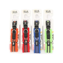 Ally Paws Dog Collar Köpek Boyun Tasması Medium 2cmx35-50cm Asortili Çok Renkli