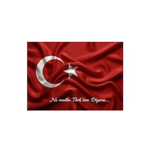 Dalgalanan Türk Bayrağı Mdf Tablo