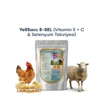 Kuş Ve Kanatlılar İçin Vitamin Takviyesi Yılsac E-sel+ C 100 Gr X 1 Adet