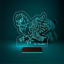 Luvivia Papağan Pet Shop Kişiye Özel 3d Lamba - Masa Gece Lambası Şeffaf