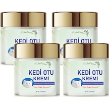 Kedi Otu Kremi 50 Ml Kafur Ağacı Yağlı Paincream 4 Adet