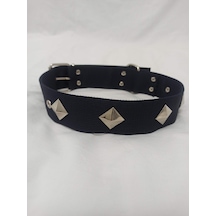 Kozaklı Süslü Köpek Tasması Siyah 70 x 4 CM Siyah