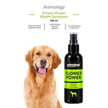 Animology Flower Power Fragrance Mist Köpek Parfümü 150 Ml