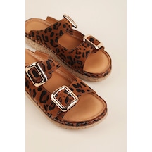 Taba - Leopar
