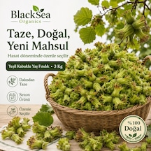 Blacksea Organics Rize Fındığı Yeni Mahsul Yeşil Kabuklu Yaş Fındık 3 Kg Dalından Taze Kabuklu Fındık