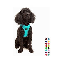 Air-mesh Küçük Ve Orta Irk Kedi Köpek Göğüs Tasması - Yumuşak, Nefes Alabilir, Dayanıklı Ocean, Xsmall