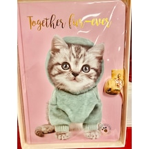 Dolphin Cem Studio Pets Kilitli Hatıra Defteri Sert Kapak Kedi Resimli Pembe Kapak Pt-7789