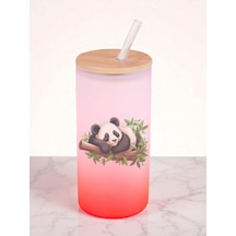 Dalda Panda Baskılı 600 Ml Cam Matara- Su Matarası, Suluk Matara, Cam Pipetli Matara Kırmızı
