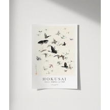 Çerçevesiz Poster Hokusai Hokusai'nin Kelebekleri Ve Güveleri