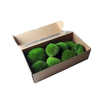 Top Yosun Şoklanmış Ort. 250 Gr. Ballmoss Yosun Koyu Yeşil