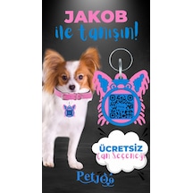 Petjoo 8.Jakob Mavi-Pembe Qr'lı Köpek Künyesi