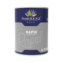 Pamukkale Rapid Boya 0.75 Kg Antrasit Gri Ral 7016