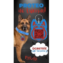 Petjoo 24.Proteo Kırmızı-Mavi Qr'lı Köpek Künyesi