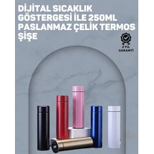 Zenvia 12 Saat Sıcak, 24 Saat Soğuk Tutabilen Paslanmaz Termos Znv2026 Çok Renkli