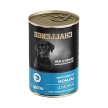 400 Gr Somonlu Yetişkin Köpek Konservesi