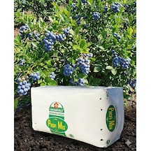 Profi Mix 250 Lt Profimix Ithal Blueberry Yaban Mersini Torfu - Ph 3,5-4,2 Asidik Toprak 0-40 Mm 0,250