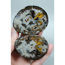 Plume Black Sea Agate Beyaz, Derin Kahverengi Ve Altın Turuncu Agate