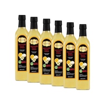 Hanzade Bitkisel Sarımsaklı Limon Sirkesi 6 x 500 ML