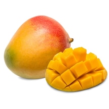 Aşısız Mango Fidanı 2 Yaş 2 Adet