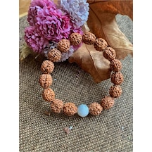 Rudraksha Tohumu Aytaşı Bileklik Çok Renkli