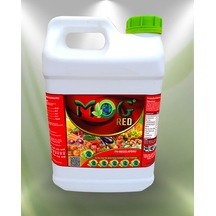 10 L