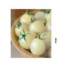 Saksılık Beyaz Cherry Domates Tohumu
