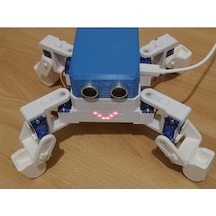 Otto Böcek Robot