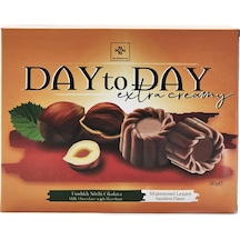 Day To Day Fındıklı Sütlü Çikolata 210 Gr