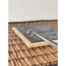 %100 Cerrahi Çelik Çift Çapraz Sıra 6 MM X 1.2 MM Altın Kilitli Halka Piercing Altın