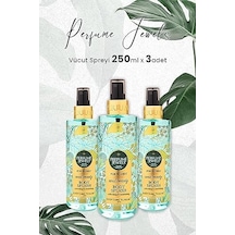 Soul Beauty 250 Ml X 3 Adet