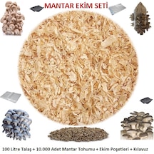 İstiridye Mantarı Ekim Seti