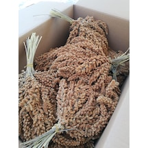 Doğal Daldarı Kızıl Darı 1 KG