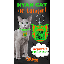 Petjoo 2.Nyan Cat Turuncu-Yeşil Qr'lı Kedi Künyesi