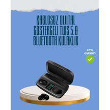 Diğer