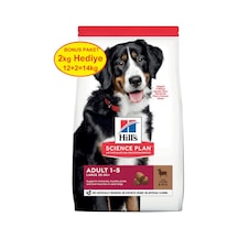 Hill's Kuzu Etli Pirinçli Büyük Irk Yetişkin Köpek Maması 12 + 2 KG