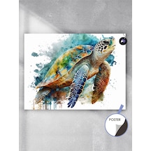 Caretta Kaplumbağa Süzülüşü Hayvan Poster - Afiş - Dekoratif Duvar Posteri