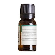 Og Okaliptus Yağı 10 Ml