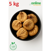 5 KG