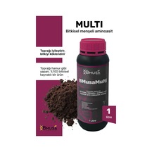 1 L