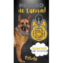 Petjoo 24.Proteo Sarı-Gri Qr'lı Köpek Künyesi