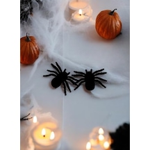 Halloween Örümcek 2'li 11cm Flok Kumaş Ast6763 Abanoz